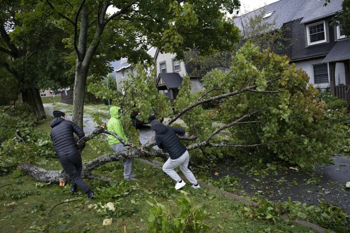 People work to drag a fallen tree limb from their street as post tropical storm Fiona causes widespread damage in Halifax on Sept 24, 2022. (Darren Calabrese/The Canadian Press)