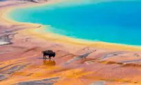 The Best Family Vacation Destinations That Won’t Break the Bank