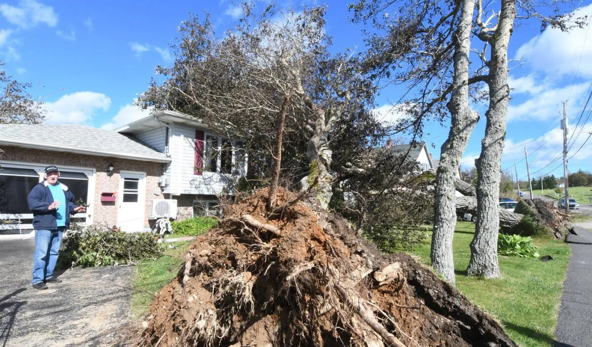 Homeowner George MacDonald describes the moment when several trees landed on his home in Glace Bay, N.S., on Sept. 25, 2022. (The Canadian Press/Vaughan Merchant)