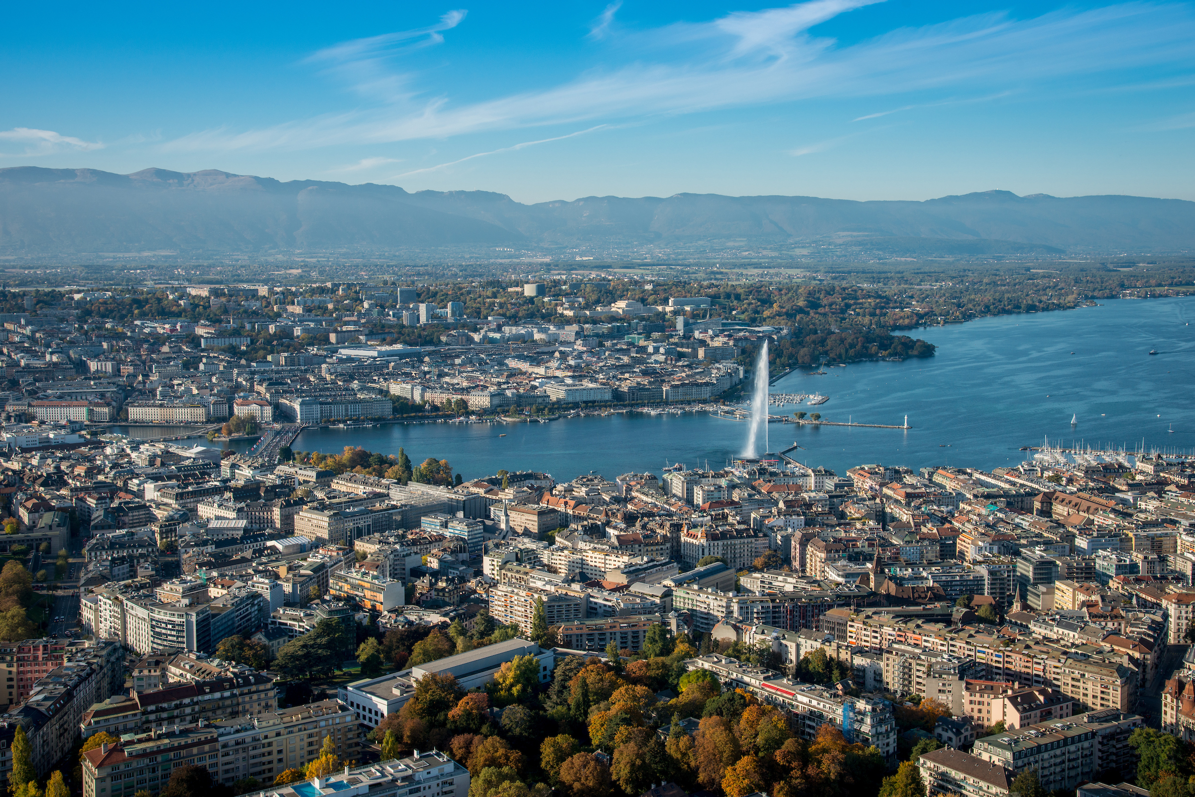 Y-Geneva