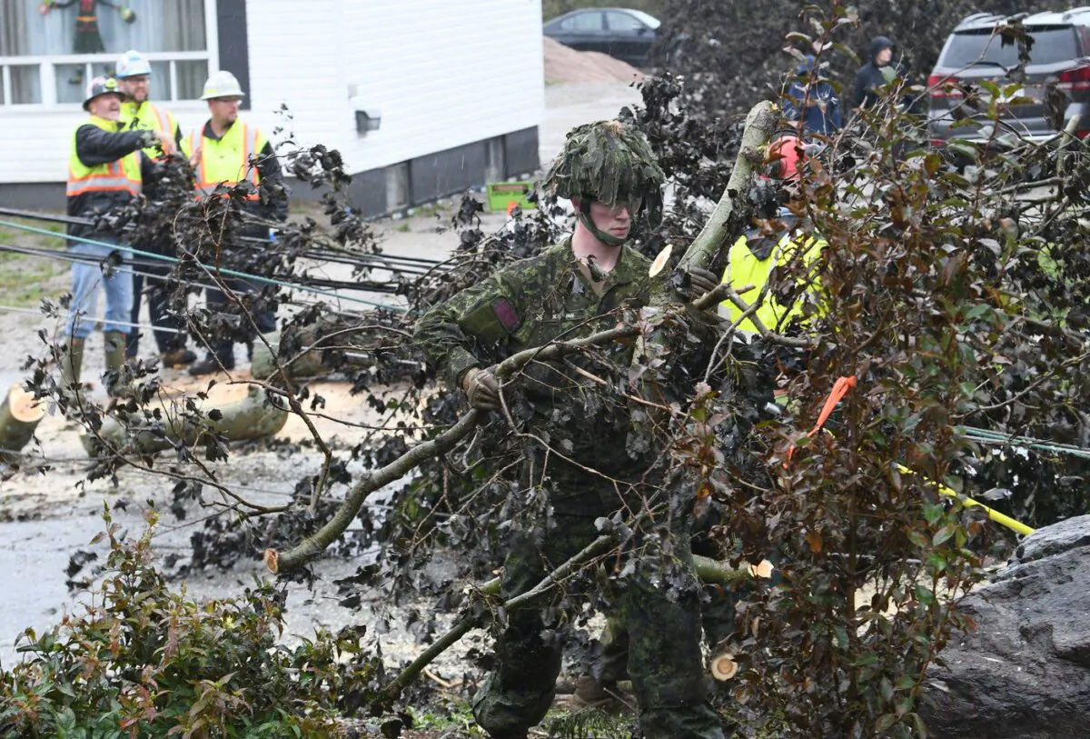 Cpl. Owen Donovan of the Cape Breton Highlanders removes brush under the direction of Nova Scotia Power officials along Steeles Hill Road in Glace Bay, N.S., Sept. 26, 2022.(The Canadian Press/Vaughan Merchant)