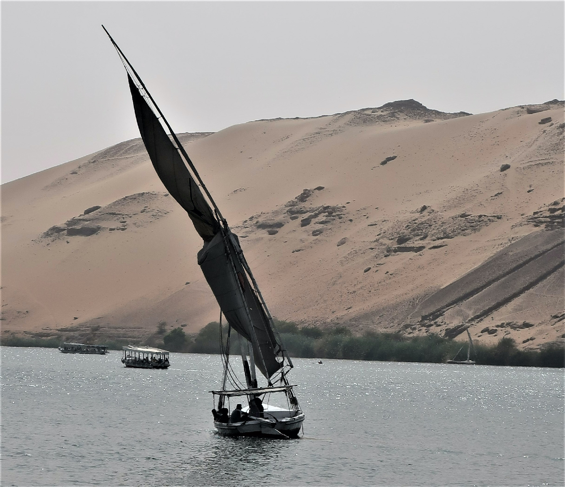 قوارب شراعية خشبية تسمى الفلوكة تجوب مياه النيل في مصر.