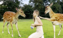 PHOTOS: Hungry Deer Thumps Ukrainian Woman on Elbow and Shoulder for Cookies