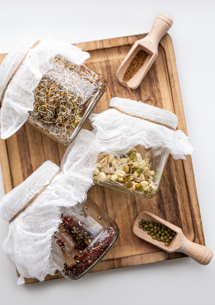 Various,Seed,Sprouts,Growing,In,Glass,Jars,,Healthy,Vitamin,Rich