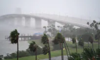 A Lot to Blame (Including Inflation) for Florida Insurance Debacle