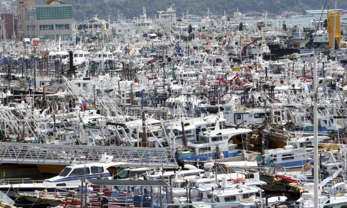 Fishing boats are anchored ahead of the arrival of Typhoon Hinnamnor at a port in Yeosu, South Korea, on Sept. 4, 2022. (Jang Duck-jong/Yonhap via AP)