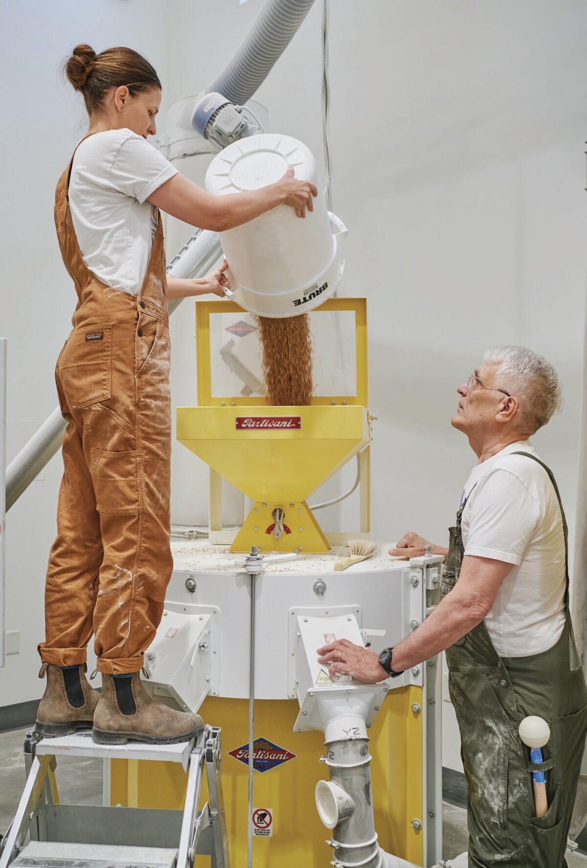 Fields of Arizona Gold Hayden Flour Mills is on a Mission to Save