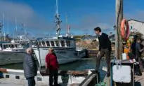 ‘Major Damage’: East Coast Fishing Industry Feeling Impact From Post-Tropical Storm