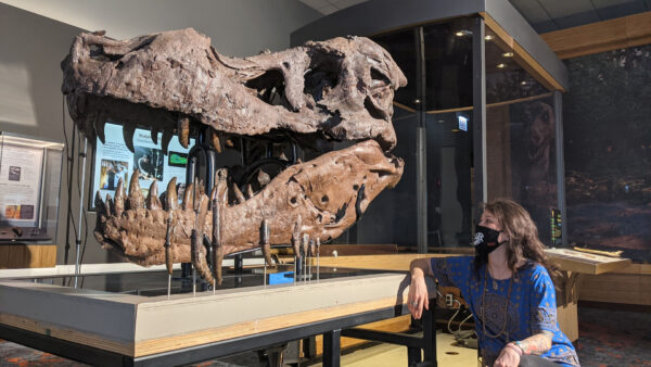 American Paleontology and the Discovery of Tyrannosaurus Rex