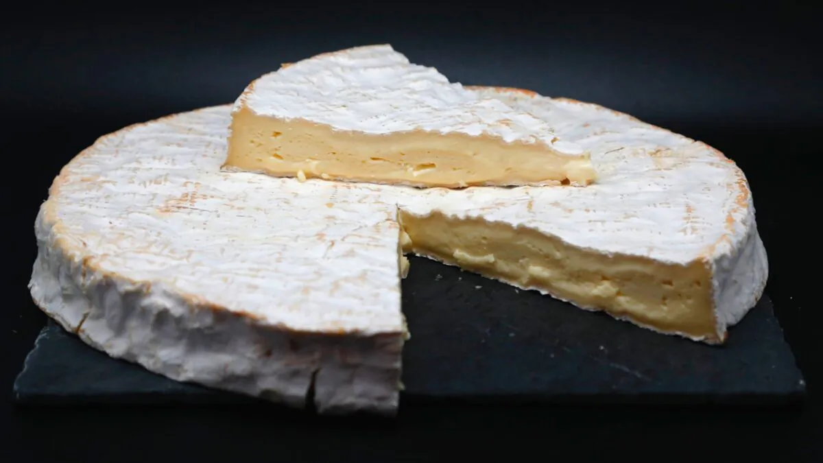 A picture shows a brie cheese displayed in a light box during a Wikicheese photo shoot in Paris, France, on May 15, 2015. (Francois Guillot/AFP via Getty Images)