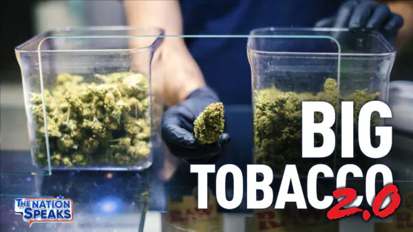 Marijuana Legalization: Big Win or Big Mistake? Colorado 10 Years Later