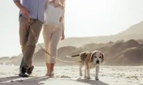 How to Cultivate a Happier Retirement