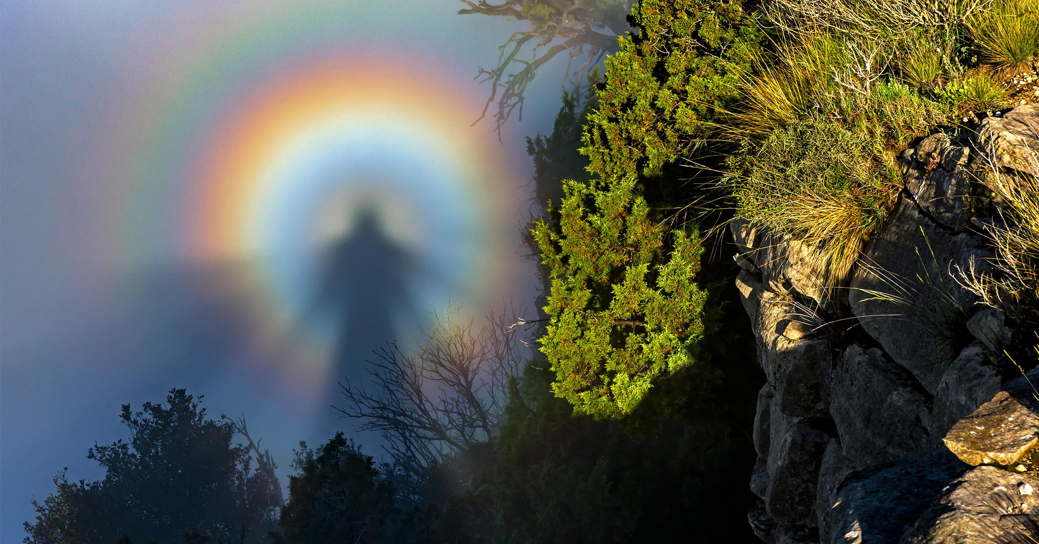 Weather Photographer of the Year 2022: Spectacular Photos Celebrate Nature's Mystic Moods - Vimarsana News