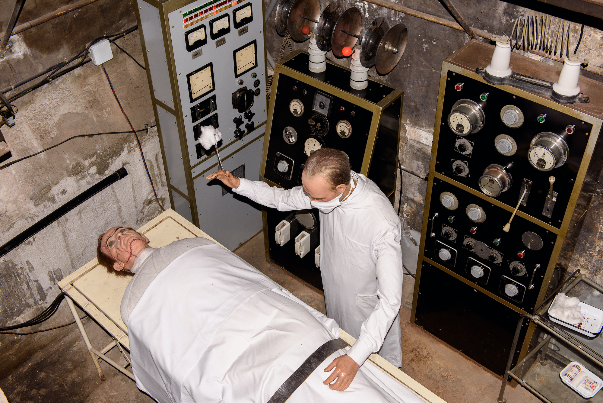 Dr. Victor Frankenstein's Failure - Vimarsana News