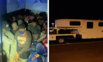 2 Americans Arrested for Allegedly Smuggling 33 Illegal Immigrants in Horse Trailer