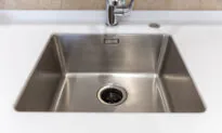 Grind, Grind, Stop: Garbage Disposal Cleaning, Maintenance, and Repair