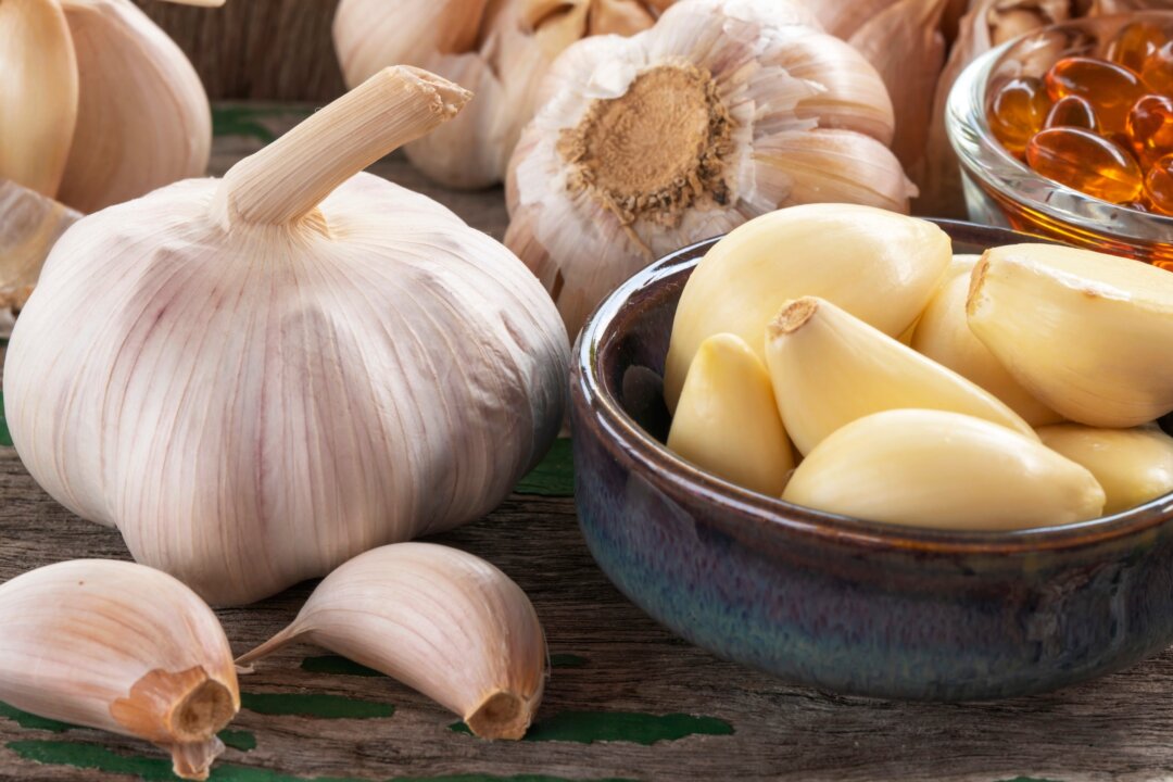 Taking 2.5 grams a day of aged garlic extract significantly reduces the severity of colds and flus. (NARONG JHANWATTANA/Shutterstock)