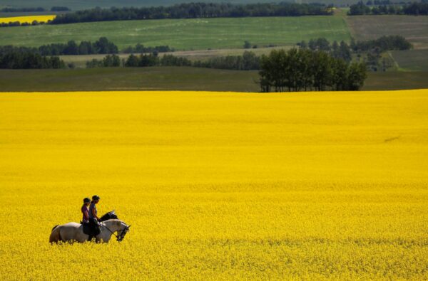 It's the Right Time to Rethink 'Post-Nation' Canada 