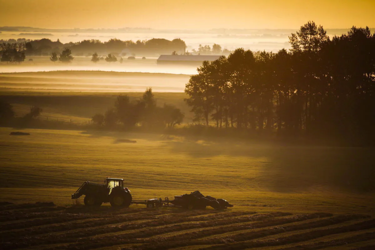 A farm tractor and baler sit in a hay field on a misty morning near Cremona, Alberta, on Aug. 30, 2016. (Jeff McIntosh/The Canadian Press)