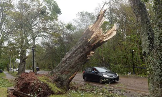 Ten Days After Fiona PEI Residents Without Power Alarmed at Pace of Response