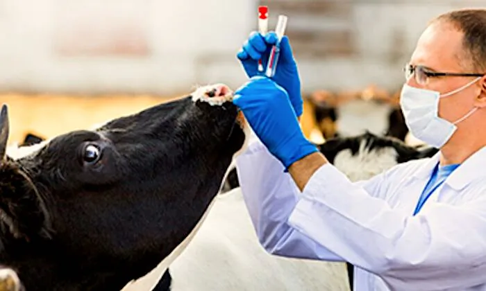 Farmers Want Tougher Biosecurity Penalties