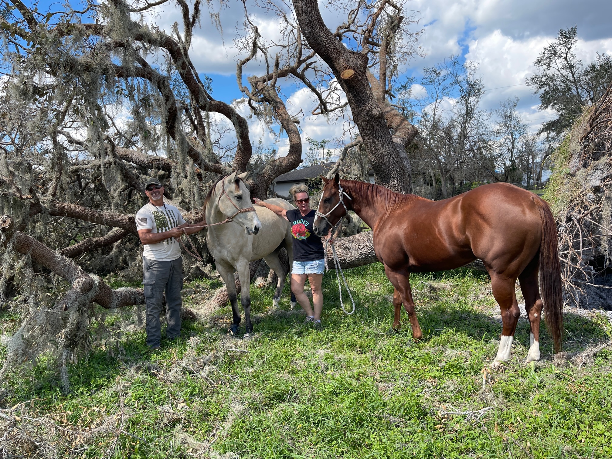 Animal Lovers Brave Brunt of Hurricane Ian for Pets' Sake - Vimarsana News