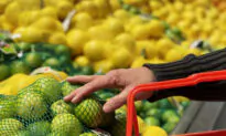 Cost-of-Living Crisis Drives Social Cohesion to New Lows: Australian Study