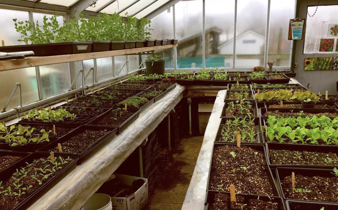 L&T-HerbGarden-3