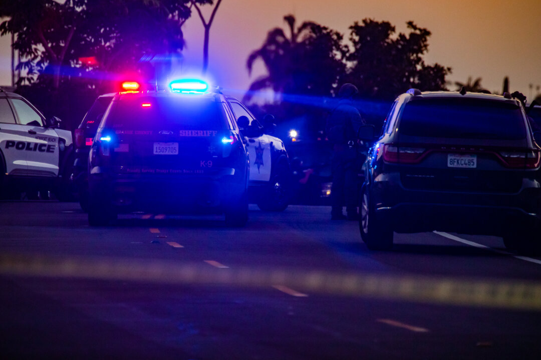 San Diego Human Trafficking Task Force Arrests 48, Frees 8 Children ...