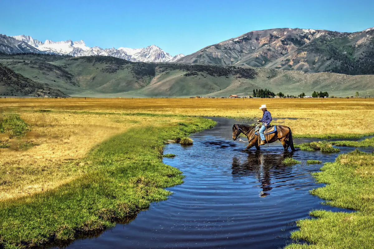 The article’s author rides on a bay mare named Suede, amid a lush meadow and the snow-clad peaks bordering Yosemite. (Maria Coulson for American Essence)