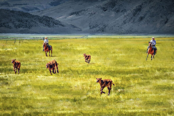 Epoch Times Photo