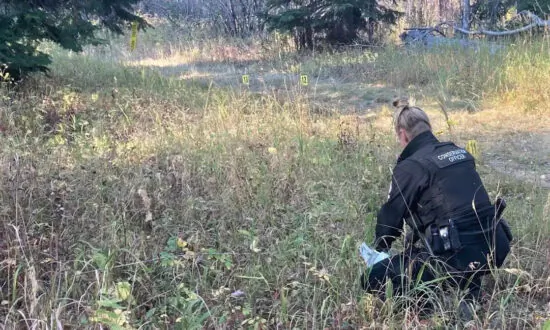 Bear Attacks Family in BC, Then Guards Two Gravely Injured Women From Rescue: RCMP