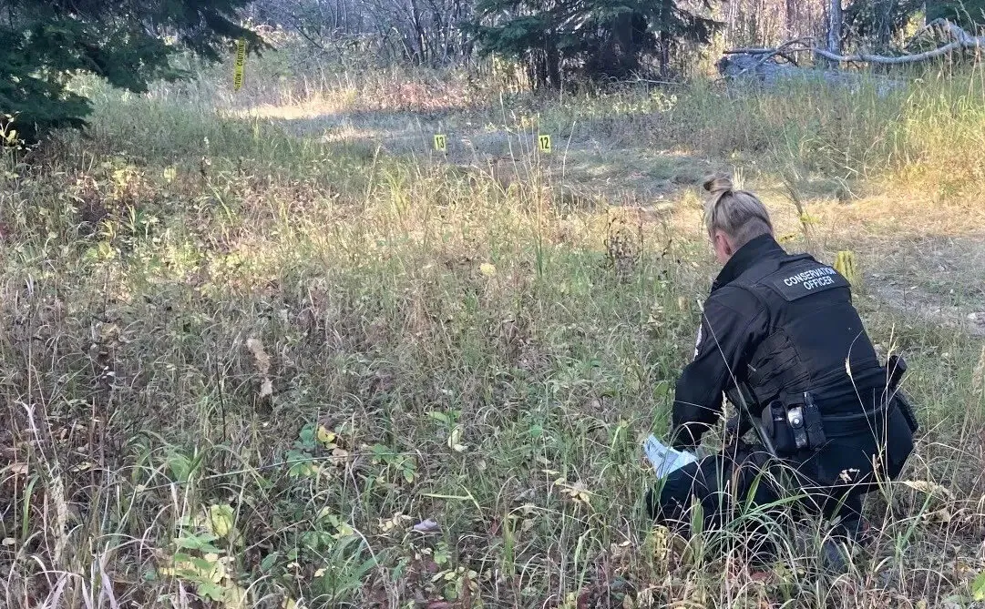 A conservation officer sets out evidence markers at the site of a black bear attack on Bear Mountain, British Columbia, in this photo provided by the B.C. Conservation Officer Service on Oct. 4, 2022. (The Canadian Press/B.C. Conservation Officer Service)