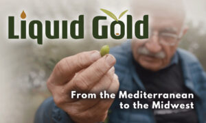 Liquid Gold: From the Mediterranean to the Midwest | Documentary