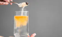 Any Fiber Is Good Fiber, Just Get More of It