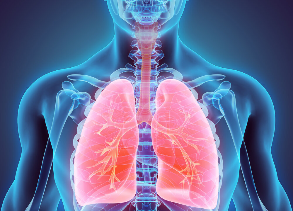 People with cystic fibrosis suffer from chronic mucus buildup in the lungs and airways which makes breathing difficult. MDGRPHCS/Shutterstock.com