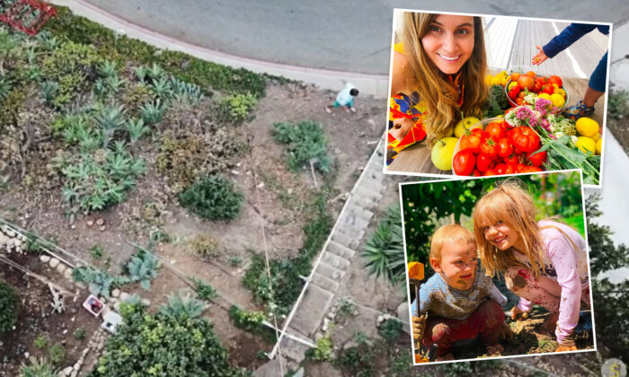 Couple Turn Rocky Hillside Into Mega Food Forest, Provide Homegrown Food to Community