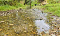 Panning for Gold in Jamestown