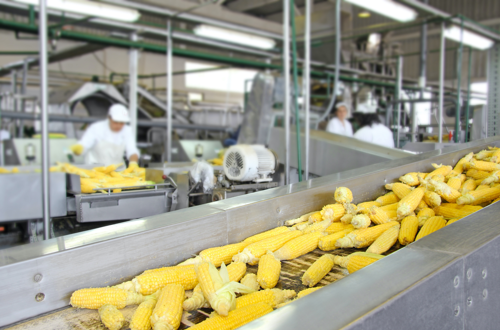 Could You Be Reacting to Corn? - Vimarsana News