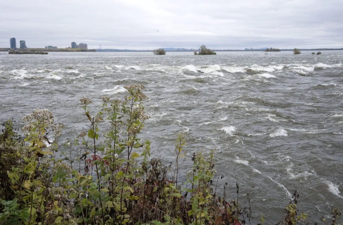 The Lachine Rapids are seen in Montreal, Oct. 22, 2021. (The Canadian Press/Ryan Remiorz)

