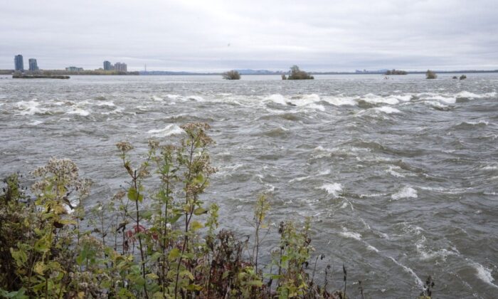 The Lachine Rapids are seen successful  Montreal, Oct. 22, 2021. (The Canadian Press/Ryan Remiorz)
