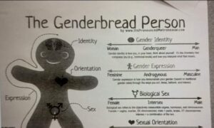 Students Nationwide Face Pressure to Become LGBT