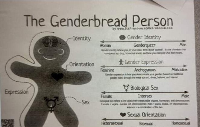 An illustration encouraging children to think of gender as a spectrum was distributed by Gorham High School in Maine. (Courtesy of a Gorham High School student)