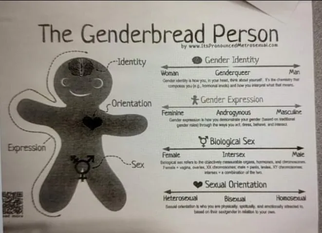 An illustration encouraging children to think of gender as a spectrum was distributed by Gorham High School in Maine. (Courtesy of a Gorham High School student)