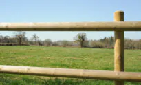 Build a Rail Fence