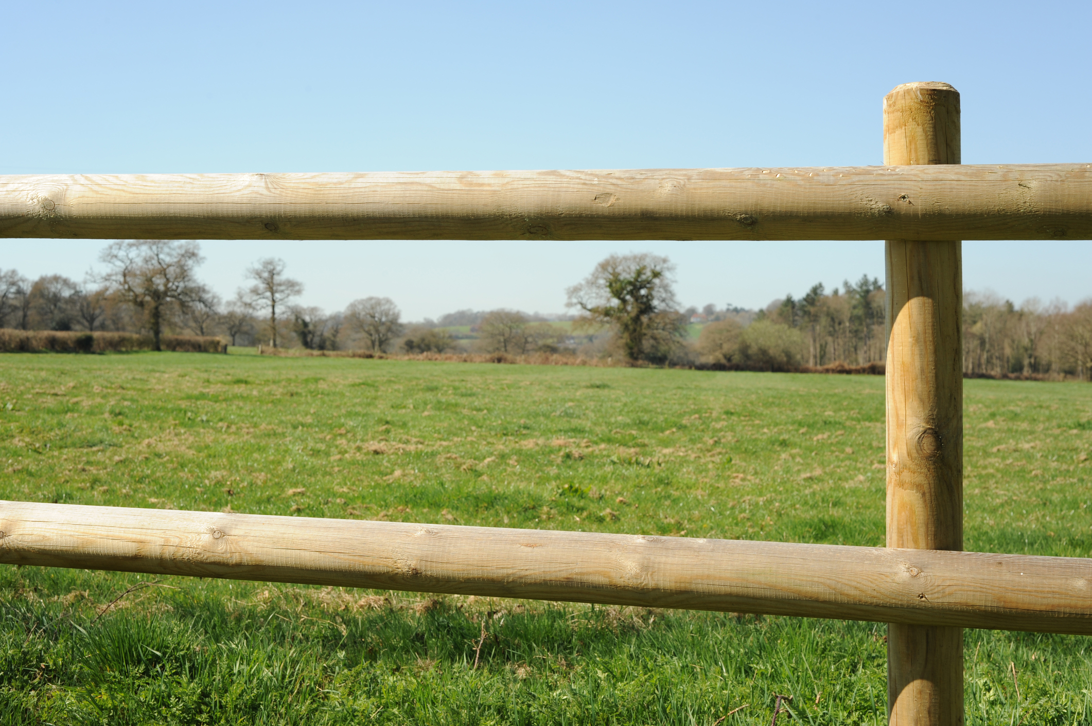 Build a Rail Fence - Vimarsana News