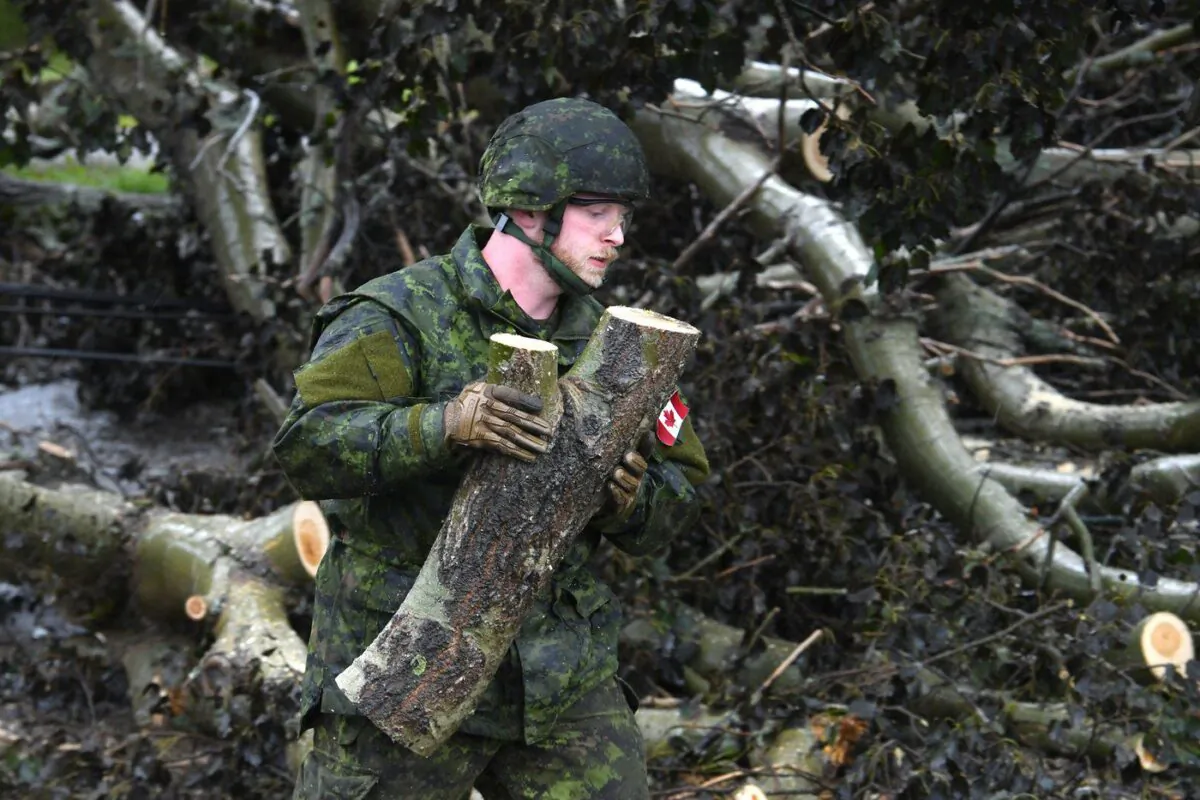 Cpl. Brandon McRae of the Cape Breton Highlanders removes brush under the direction of Nova Scotia Power officials in Glace Bay, N.S., on Sept. 26, 2022. (The Canadian Press/Vaughan Merchant)
