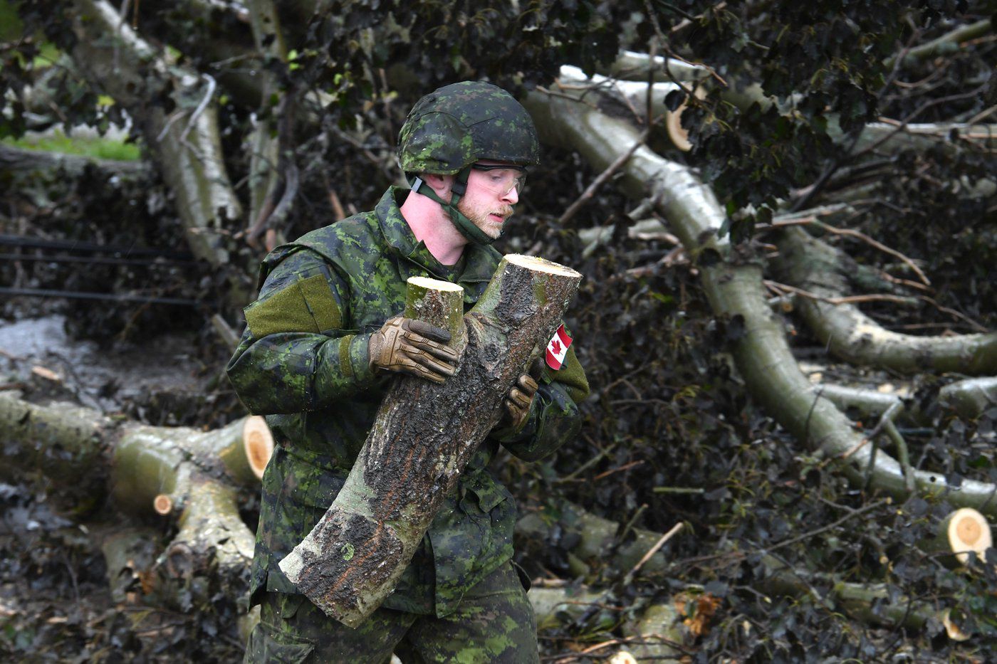 Fiona: One Week After NS Premier Asked for More Troops, Fewer Boots on Ground - Vimarsana News