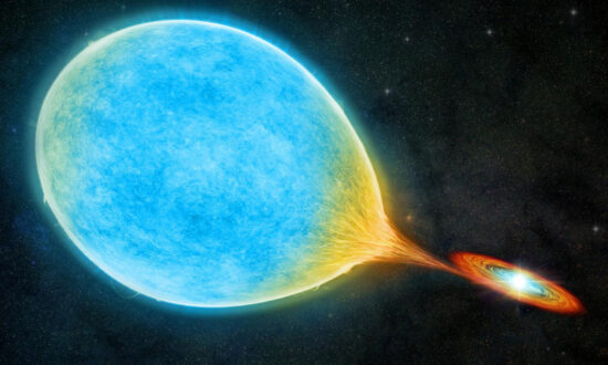A ‘Cataclysmic’ Celestial Couple Gone Wrong: A Star Eats Its Mate