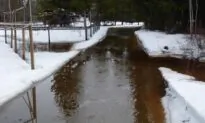 BC Agrees to Pay $300,000 to Couple Who Say Logging Flooded Their Property